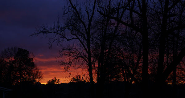 Lovely Surroundings!