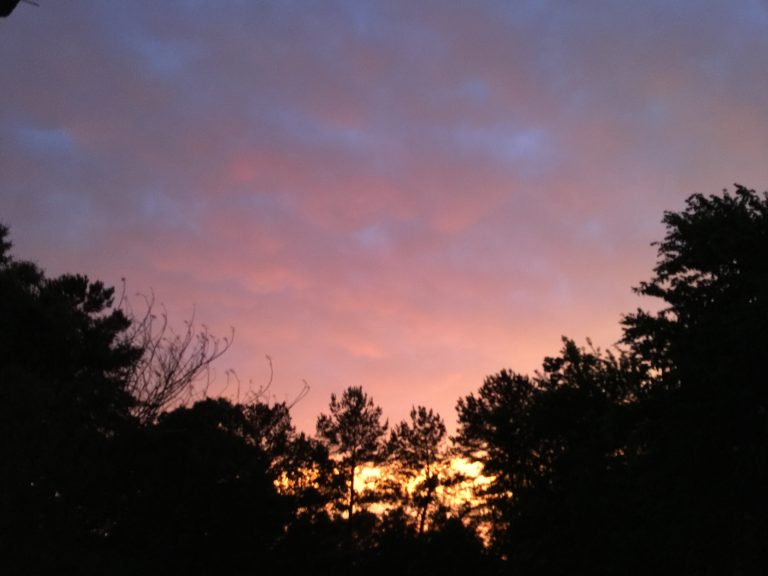 Click Love Grow Photography Challenge – Day Three!