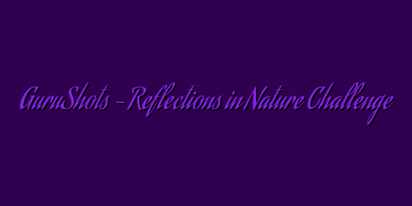 GuruShots – Reflections in Nature Challenge