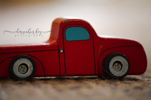 Click Love Grow Challenge day 1