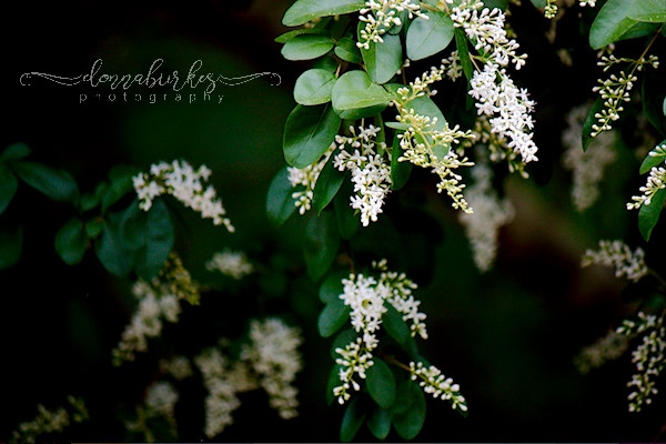 More Gorgeous God’s Creation!