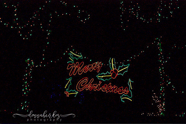 Carmela’s Mini Santa Land 2018